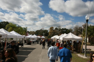 manatee festival in crystal river, florida