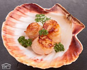 Scallop Dinner from Crystal River Florida